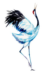 Crane. Watercolor hand drawn  illustration
