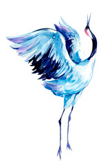 Fototapeta premium Crane. Watercolor hand drawn illustration