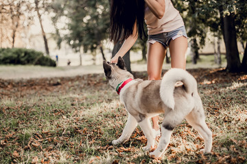 Beautiful woman playing with a dog walking in the park.