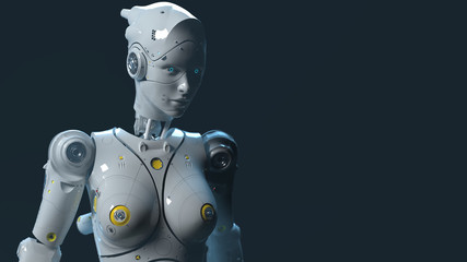 Obraz na płótnie Canvas robot woman, sci-fi woman animation of the digital world of the future of neural networks and the artificial intelligence