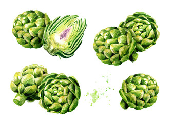 Obraz premium Fresh artichoke set. Watercolor hand drawn illustration, isolated on white background