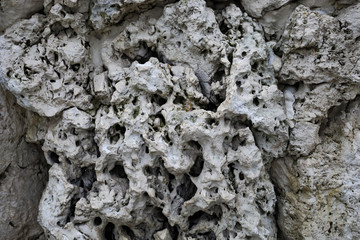 Grey stone texture