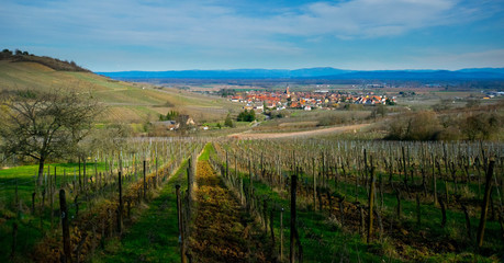 Naklejka premium Bergheim im Elsass