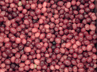 Frozen red berries in the refrigerator in the store