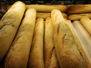 Fresh tasty loaves on the counter in the store