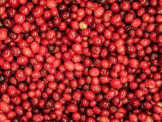 Frozen red berries in the refrigerator in the store