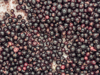 Frozen currants in the refrigerator in the store