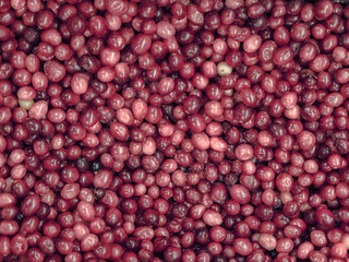 Frozen red berries in the refrigerator in the store