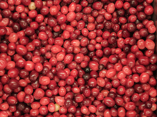 Frozen red berries in the refrigerator in the store