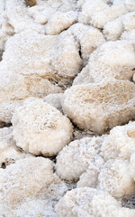 Stones with crystallized salt