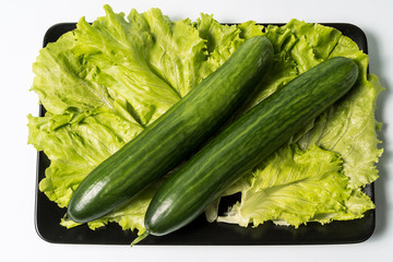 Layout with organic cucumbers over lettuce leaf background.