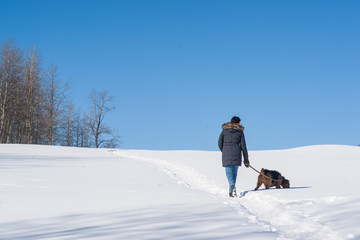 Winter Pet Walk - Deep Blue Sky