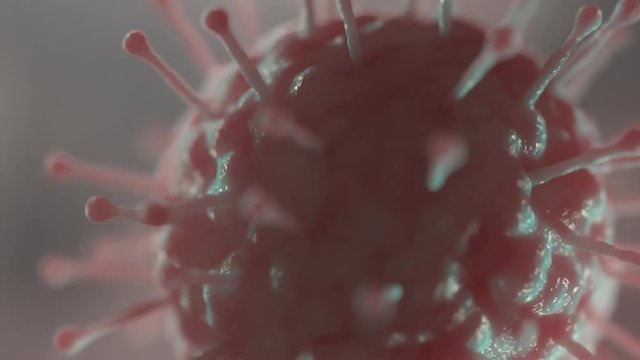 Virus Cells Organism