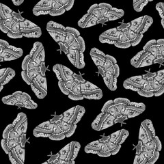 Black butterfly moth pattern watercolor