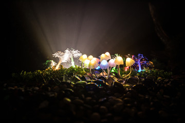 Fantasy glowing mushrooms in mystery dark forest close-up. Beautiful macro shot of magic mushroom or souls lost in avatar forest. Fairy lights on background with fog.