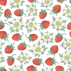 Vector floral seamless pattern with hand drawn flowers of strawberry on a white background