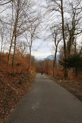 Jeune fille enfant asiatique courant au loin sur une route de forêt
