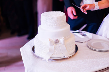newlyweds hands cutting wedding cake. white wedding cake