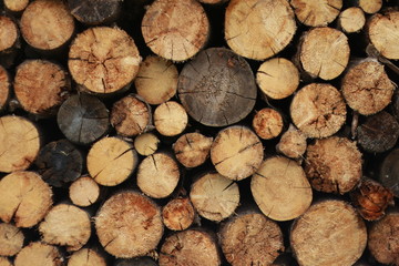 wood