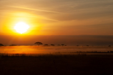 Fototapeta na wymiar Sunrise in Kenya