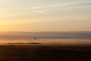 Sunrise in Kenya