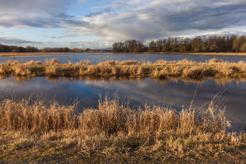 ridgefield wildlife refuge nature area in Washington state