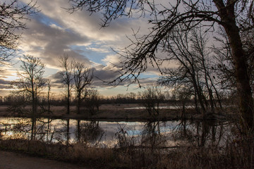 ridgefield wildlife refuge nature area in Washington state