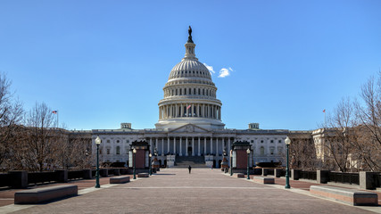 Fototapeta premium The United States Capitol Building on Capitol Hill in Washington DC, USA.