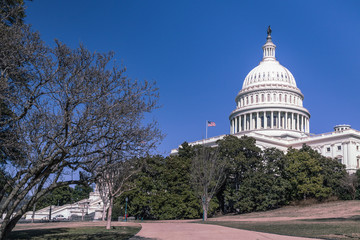 The United States Capitol Building on Capitol Hill in Washington DC, USA.