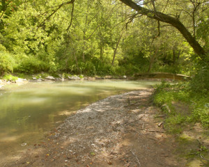 Creek in forest