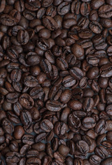 Coffee beans 