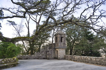 Obraz premium Quinta de Regaleria in Sintra, Portugal