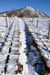 雪の大倉尾根と塔ノ岳