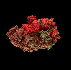 Playful colors underwater