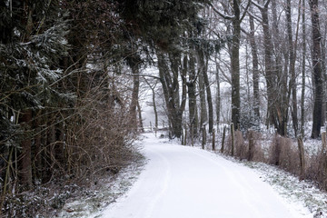 Obraz premium Dirt road covered with snow surrounded by reddish trees by autumn. Winter landscape.