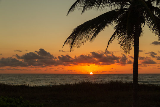 The Sun Peaking Out From The Horizon On Delray Beach In Florida.