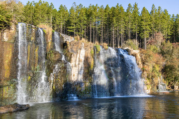 Forest Falls 22 © Karl-Heinz Schmidt
