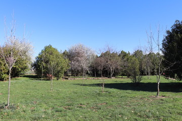PARC DE LOISIRS - VILLE DE CORBAS - RHONE - FRANCE