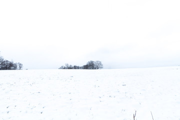 Snowy winter landscape, with a snow-covered field and a tree to the horizon.