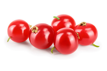 Red currant berry isolated on white background