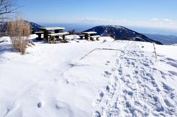 Fototapeta premium 雪化粧した丹沢の表尾根