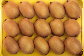 Kiwi fruit placed in a tray. Top view. Flat lay