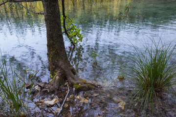  turquoise waters of Plitvice Lakes National Park in Croatia