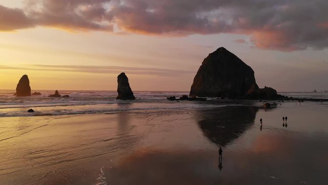 Wildlife of all sorts move about Cannon Beach as Pacific Ocean Waves Reflect Sunset Glow