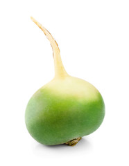 Single green radish isolated on white background
