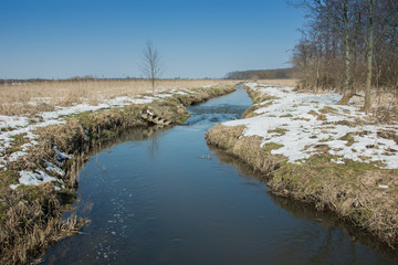 Fototapeta na wymiar Small river Uherka in eastern Poland