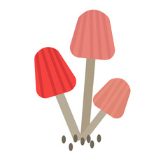 forest mushroom color simple illustration