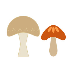 mushroom color simple illustration
