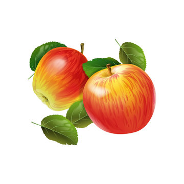 Apple. Two red apples with green leaves on a white background. Isolated
