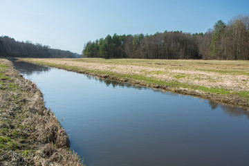 Quiet river and large meadow in front of the forest and blue sky